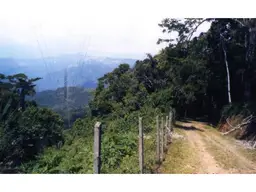 Vista 1