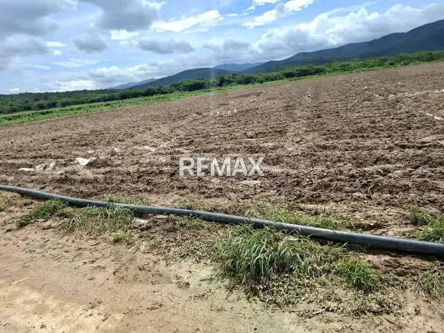 Productiva Parcela Agrícola en venta ideal para Siembra de hortalizas