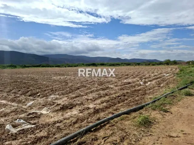 Productiva Parcela Agrícola en venta ideal para Siembra de hortalizas - 2