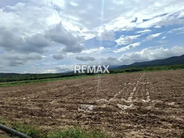 Productiva Parcela Agrícola en venta ideal para Siembra de hortalizas - 3
