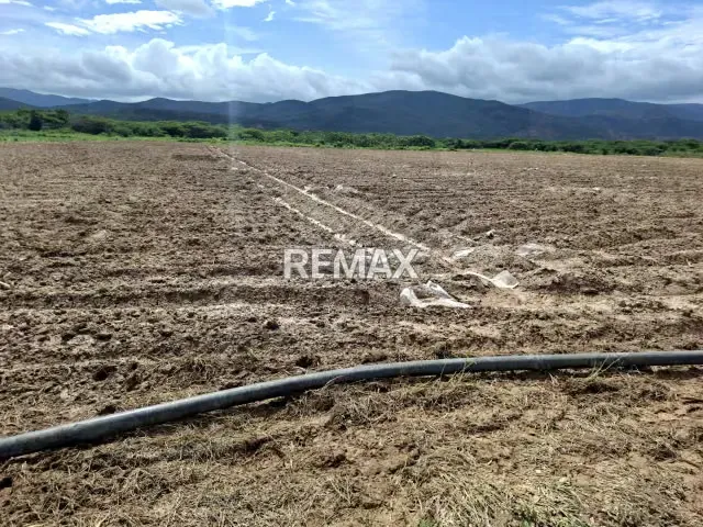 Productiva Parcela Agrícola en venta ideal para Siembra de hortalizas - 4