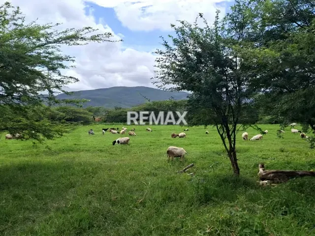 Productiva Parcela Agrícola en venta ideal para Siembra de hortalizas - 10