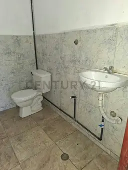 Vista 11