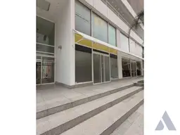 Vista 3