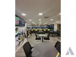 Vista 6