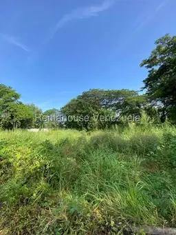 View 11
