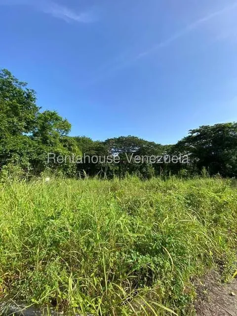 Terreno (Finca) en Venta en Santa Lucia, Miranda - 12