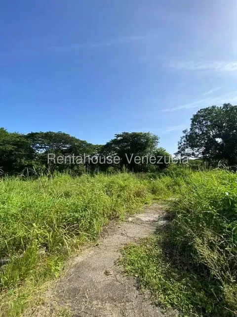 Terreno (Finca) en Venta en Santa Lucia, Miranda - 15