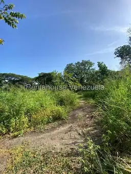 View 17