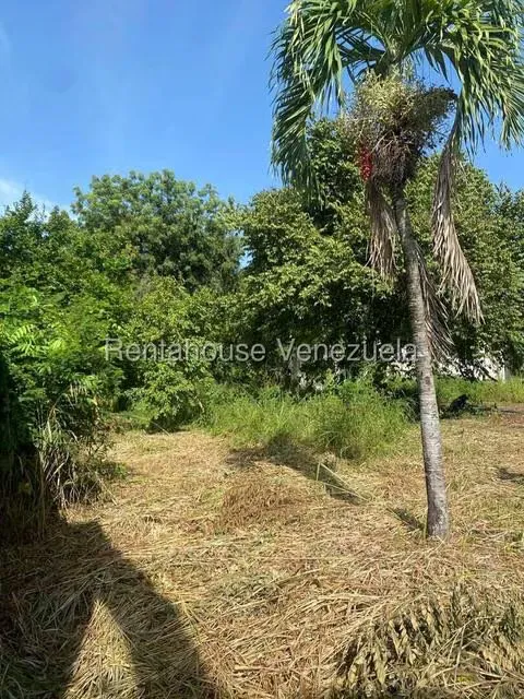 Terreno (Finca) en Venta en Santa Lucia, Miranda - 20