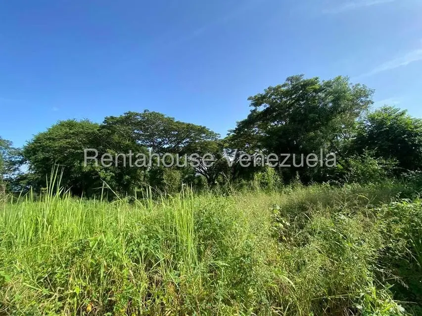 Terreno (Finca) en Venta en Santa Lucia, Miranda - 25