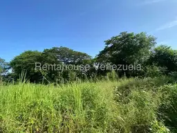 View 25