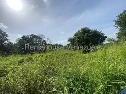 View 26