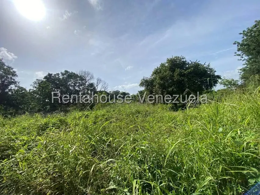 Terreno (Finca) en Venta en Santa Lucia, Miranda - 5