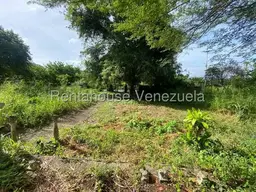 View 7