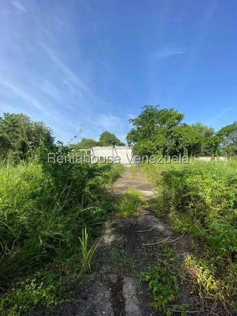 Terreno (Finca) en Venta en Santa Lucia, Miranda - 8