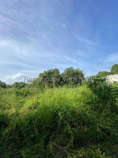Terreno (Finca) en Venta en Santa Lucia, Miranda - 10