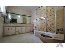 Vista 25