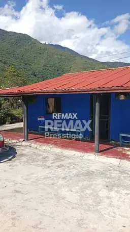 View 1