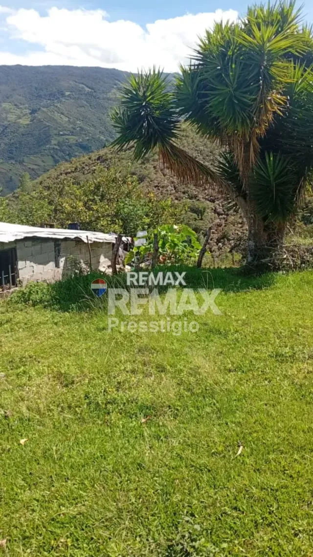 En Venta Terreno en La Mucuy Baja. - 11