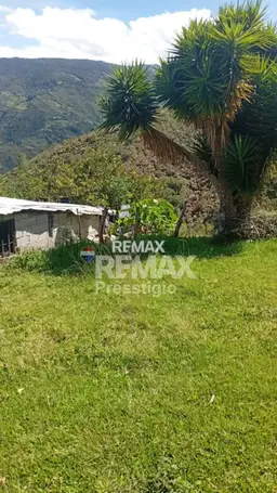 View 11