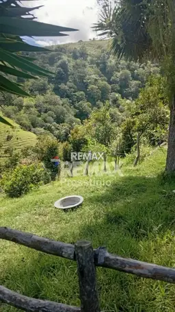 View 14