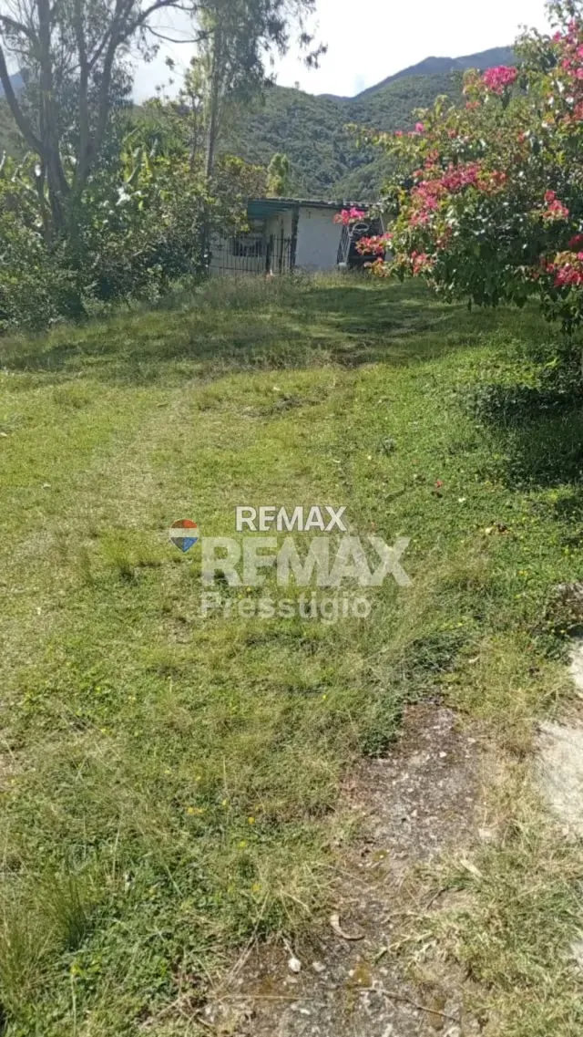 En Venta Terreno en La Mucuy Baja. - 10