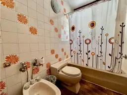 Vista 19