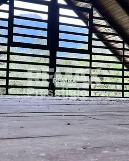 Vista 11