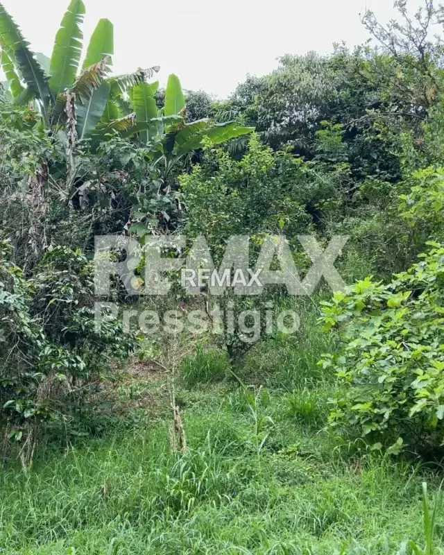 Casa en venta - 15