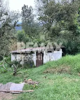 Vista 16