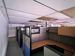 Vista 6