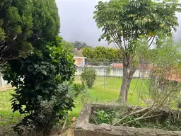 Vista 19