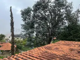 Vista 23