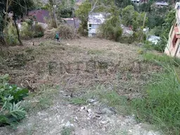 Vista 1