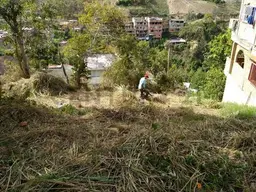 Vista 2