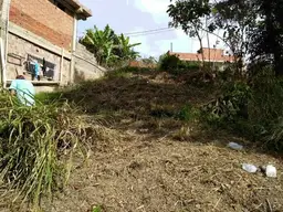 Vista 4
