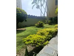 View 14