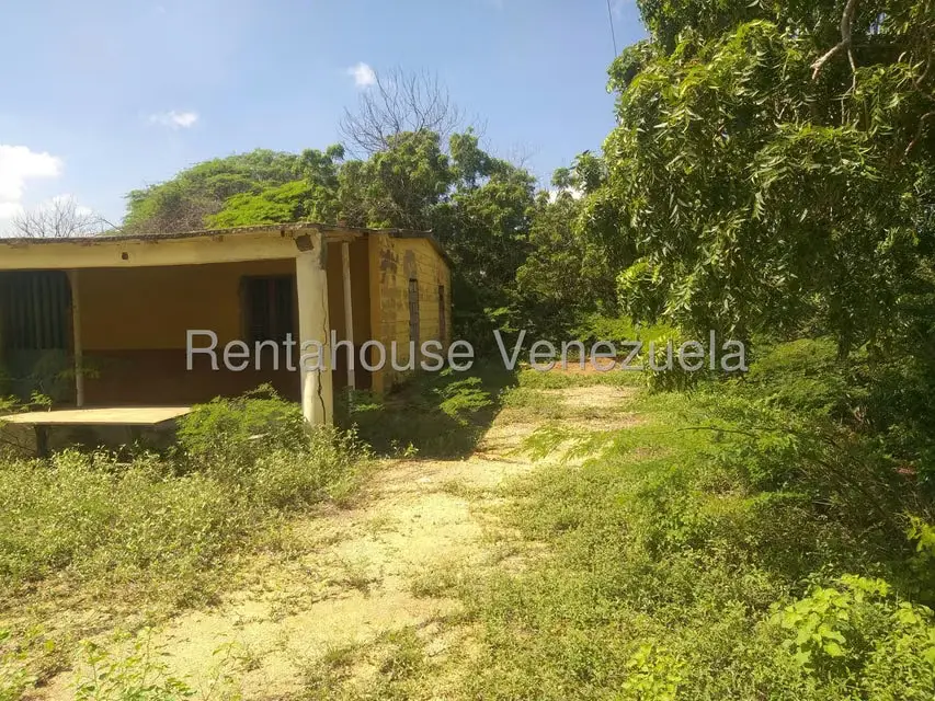 Terreno (Finca) en Venta en Los Taques, Falcon - 11