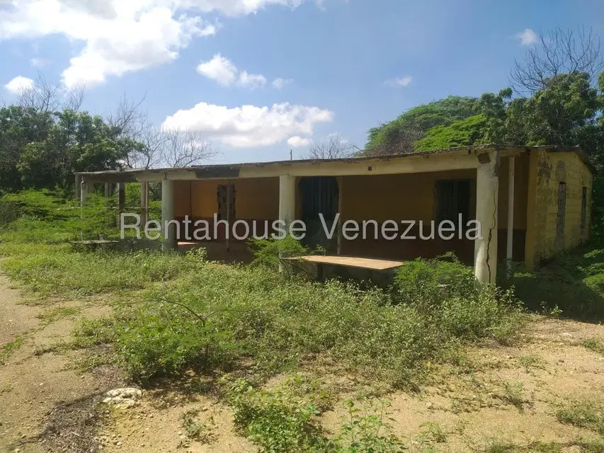 Terreno (Finca) en Venta en Los Taques, Falcon - 12