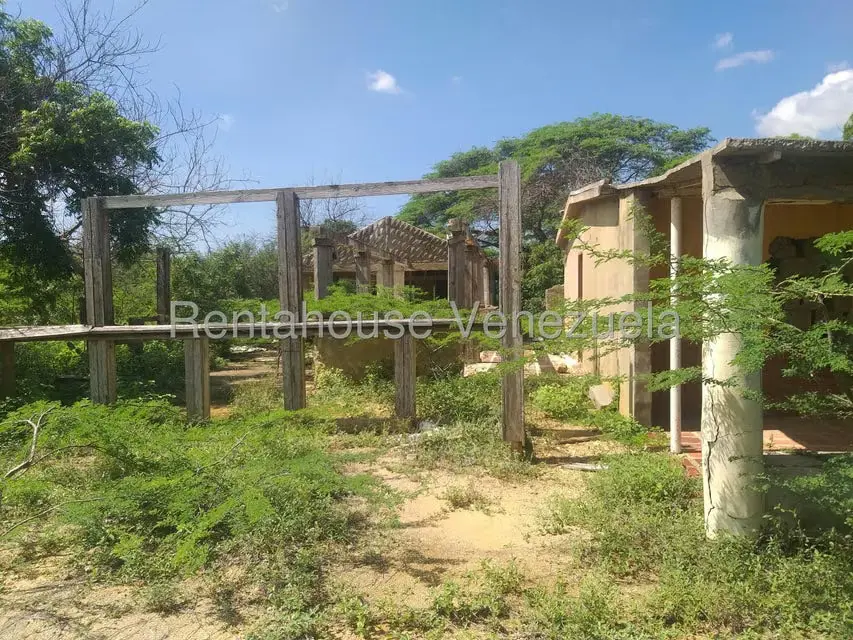 Terreno (Finca) en Venta en Los Taques, Falcon - 14
