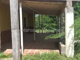 Vista 19