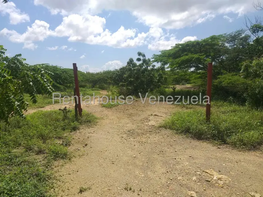Terreno (Finca) en Venta en Los Taques, Falcon - 4