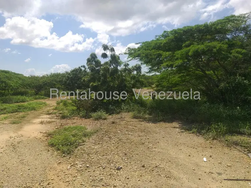 Terreno (Finca) en Venta en Los Taques, Falcon - 5