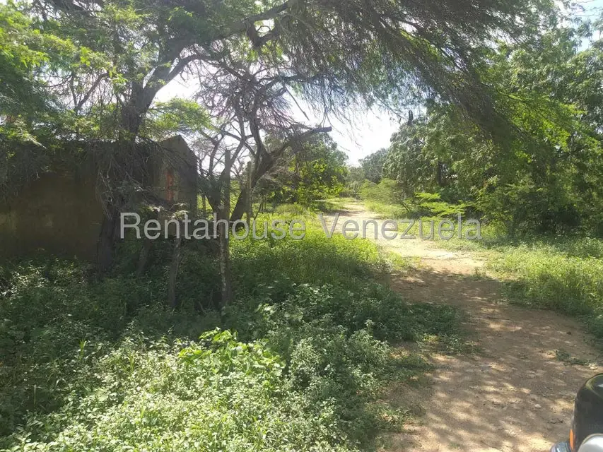 Terreno (Finca) en Venta en Los Taques, Falcon - 7