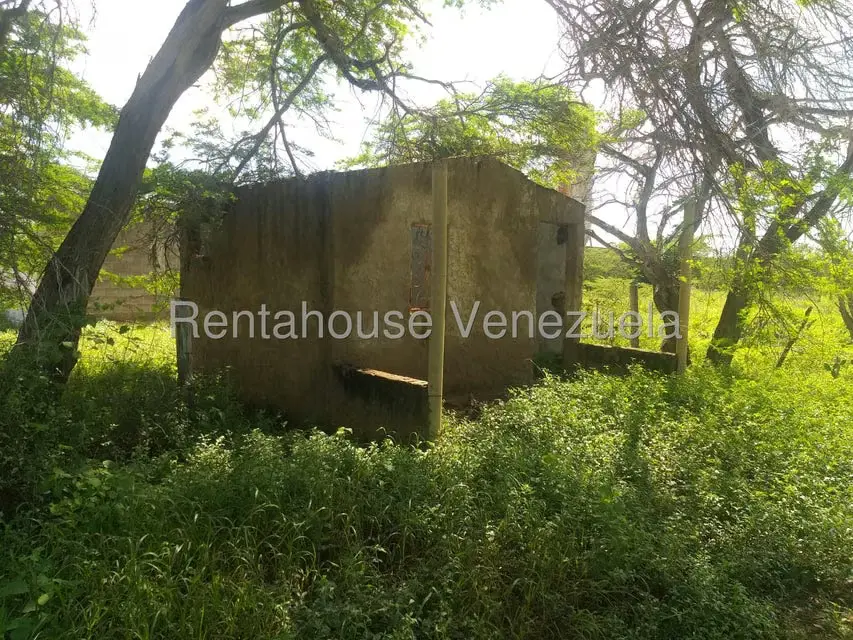 Terreno (Finca) en Venta en Los Taques, Falcon - 8