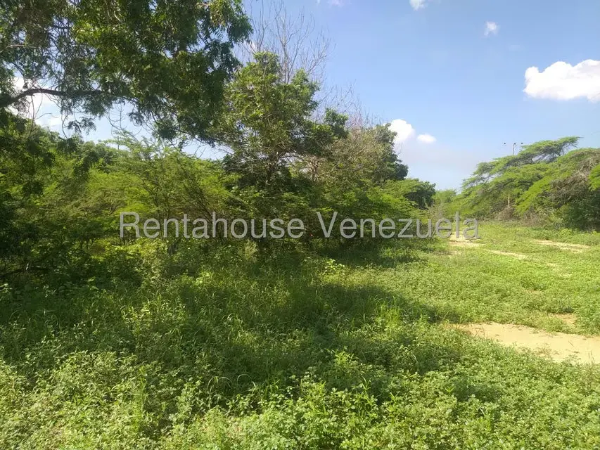 Terreno (Finca) en Venta en Los Taques, Falcon - 9
