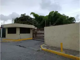 Vista 19