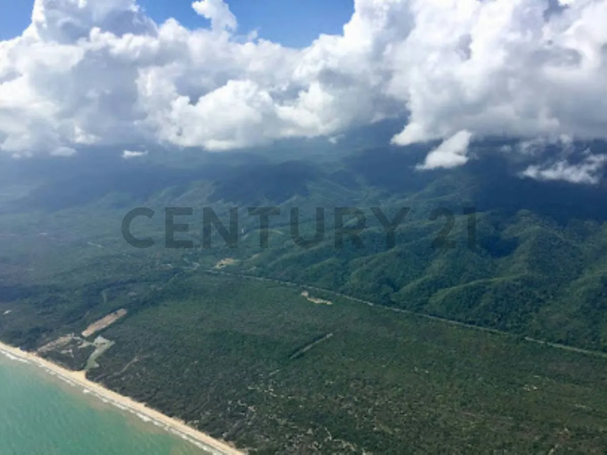 TERRENO DE USO TURISTICO, AGRICOLA Y FORESTAL EN EL ESTADO MIRANDA - 2