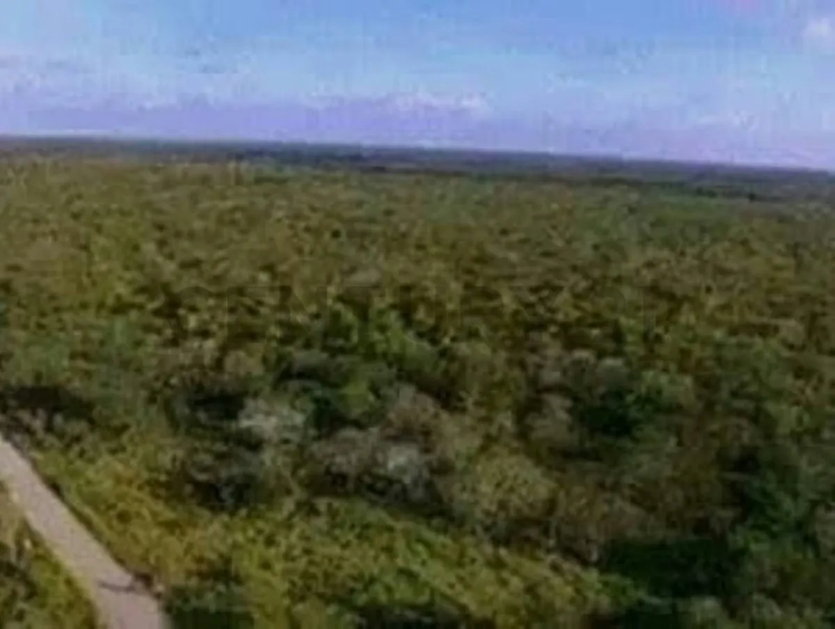 TERRENO DE USO TURISTICO, AGRICOLA Y FORESTAL EN EL ESTADO MIRANDA - 3
